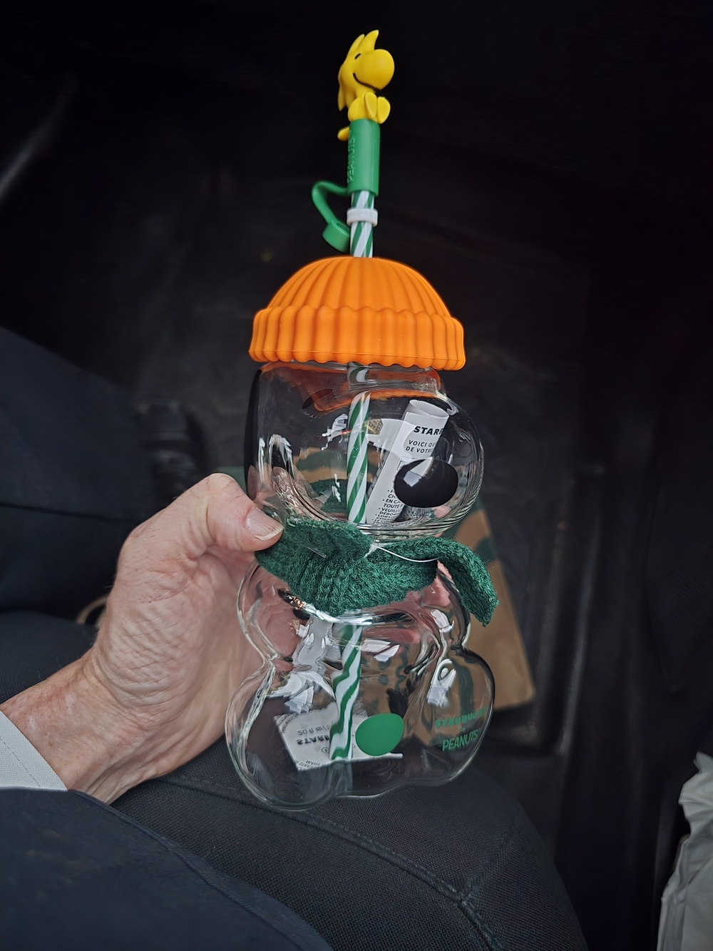 Peanuts Snoopy Glass Bottle with Orange Silicone Lid and Green Scarf